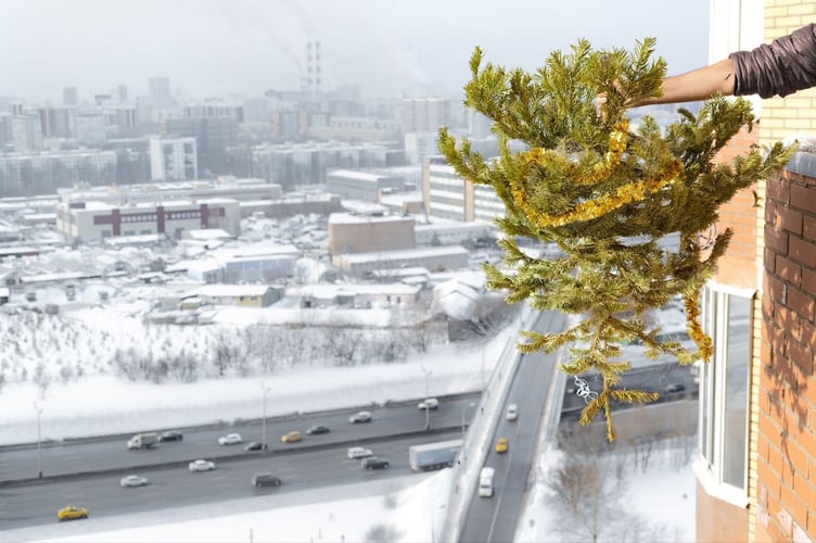 Camptoloma @ shutterstock.com