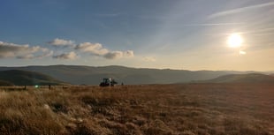 Greenhouse gas removal is vital tool to help meet climate targets