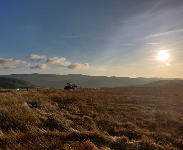 Greenhouse gas removal is vital tool to help meet climate targets