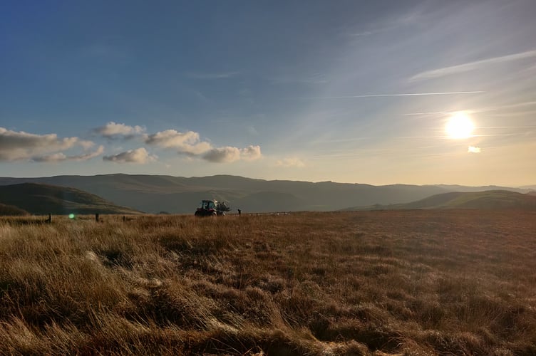 Peatland research site, Aberystwyth University