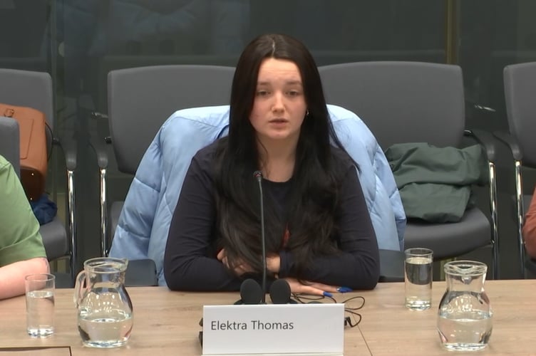 Elektra Thomas from Carmarthenshire giving evidence before the committee