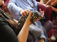 Compassionate Care, Enriching Lives at Maesyfelin Care Home 