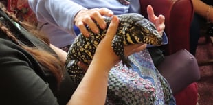 Compassionate Care, Enriching Lives at Maesyfelin Care Home 