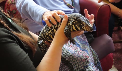 Compassionate Care, Enriching Lives at Maesyfelin Care Home 