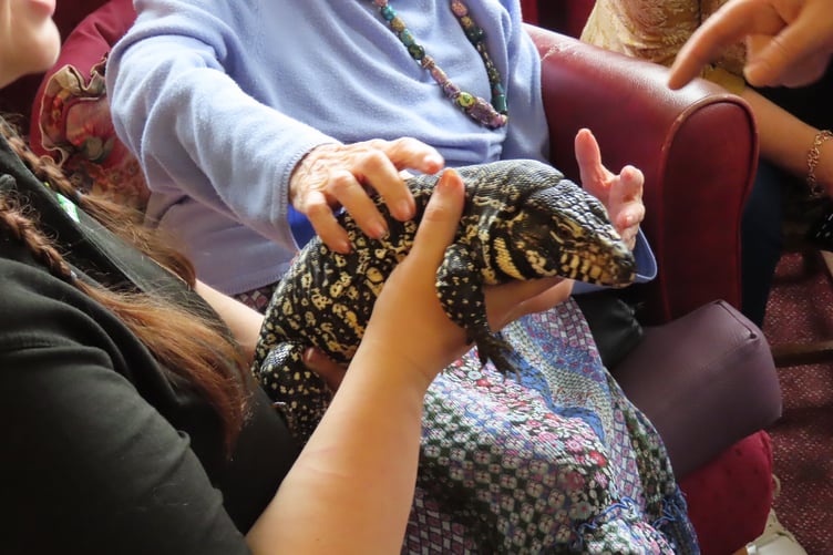 Maesyfelin Care Home