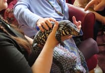 Compassionate Care, Enriching Lives at Maesyfelin Care Home