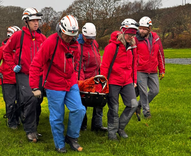 Woman rescued by South Snowdonia team