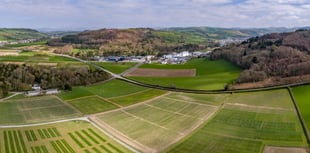 IBERS member of new UK elite research group