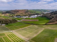 IBERS member of new UK elite research group