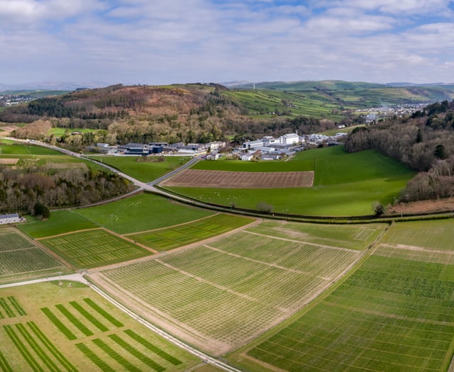 IBERS member of new UK elite research group