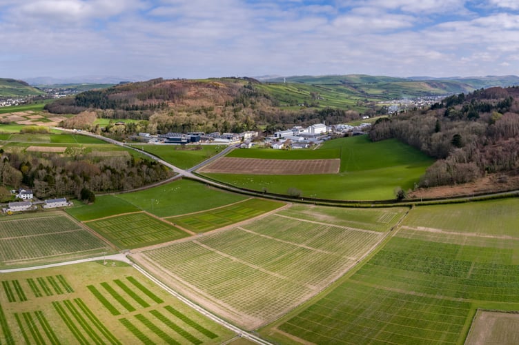 An aerial view of experimental planting plots at IBERS
