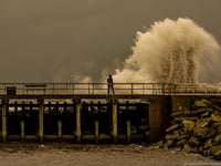 In pictures: Storm Bram wreaks havoc on roads across west-Wales