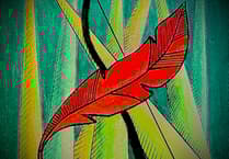 Jess Roberts takes inspiration from Aberystwyth pantomime, Robin Hood