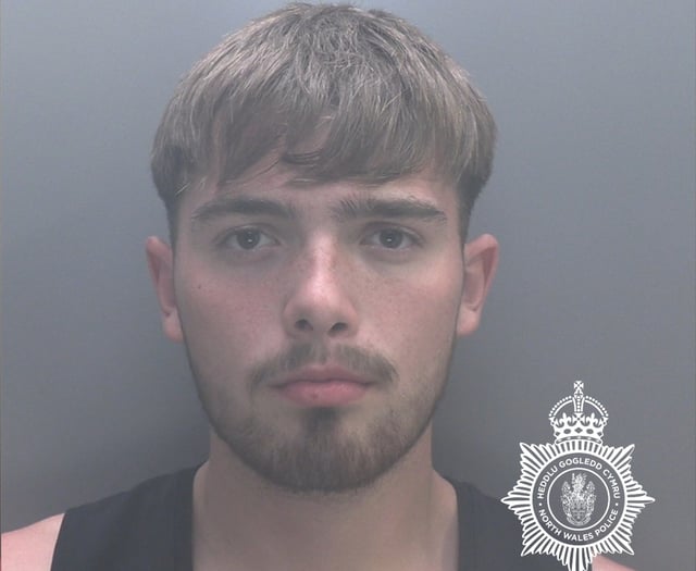 Gwynedd teen jailed for deliberately mowing down man