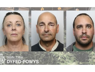 Family to repay £1m cannabis profits