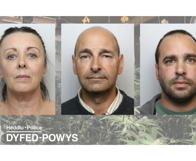 Family to repay £1m cannabis profits