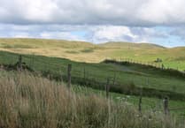 Public consultation launched for Foel Fach Wind Farm near Bala