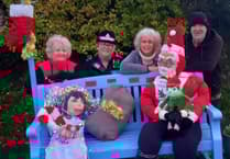 Parents of organ donor light up memorial garden in Aberystwyth this Christmas