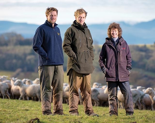 Welsh sheep genetics programme proves transformative