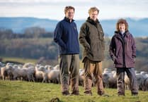 Welsh sheep genetics programme proves transformative