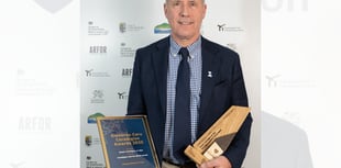 Gomer Press celebrates award wins