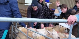 Council holds open day at £2 million farm