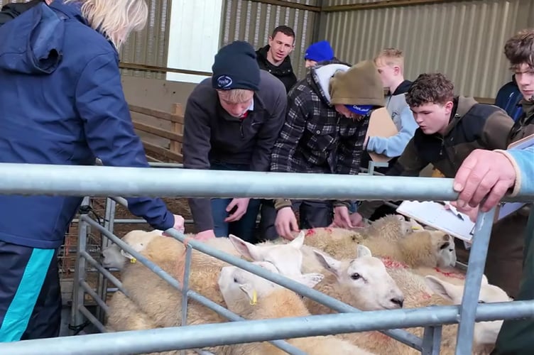 Ceredigion lletytwppa