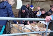 Council holds open day at £2 million farm