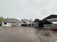 Ceredigion to host open day at newly purchased farm