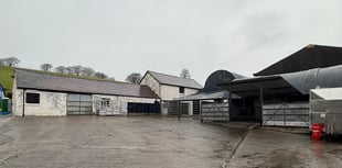 Ceredigion to host open day at newly purchased farm