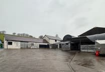 Ceredigion to host open day at newly purchased farm