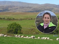 New legislation to tackle dog attacks on livestock