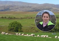 New legislation to tackle dog attacks on livestock