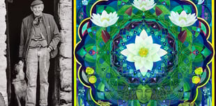 Tre'r Ddol venue launches art shows