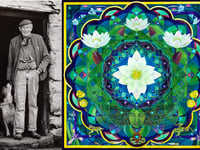 Tre'r Ddol venue launches art shows