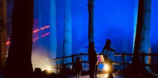 Christmas light trail in north Wales ranked top three in the country