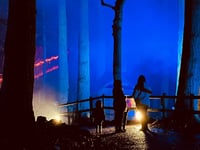 Christmas light trail in north Wales ranked top three in the country
