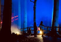 Christmas light trail in north Wales ranked in top three in the country