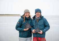 Kate and Dan Stevens win 'Volunteer of the Year' award