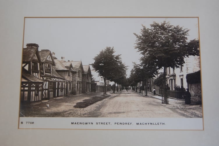 Upper Maengwyn Street, showing gravel pavements and a leafy high street.