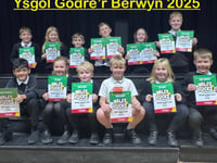 Ysgol Godre'r Berwyn excels at Wales Rocks