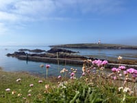 Apply for a dream job on a remote Welsh island