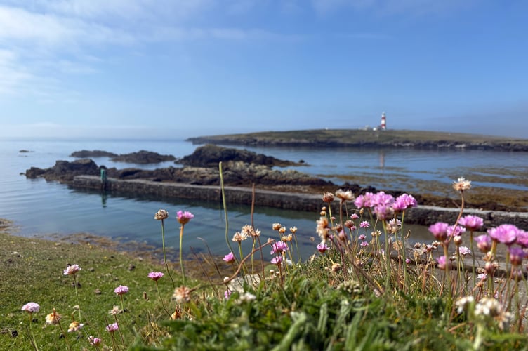 Three new jobs are giving the opportunity to work on Ynys Enlli/ Bardsey Island. Photo: Ynys Enlli