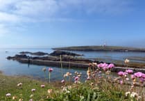 Apply for a dream job on a remote Welsh island