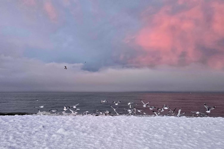 Jessica Hynes captured Borth beach in snow.