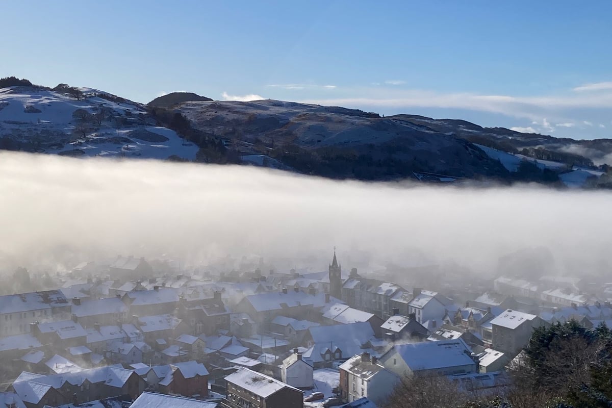 Global travel guide boost for Machynlleth Town of Culture bid visual