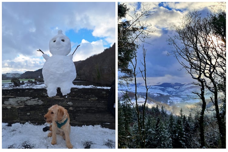 Left - a snow troll on the old Dyfi Bridge with Tintin the pup (Kitty Calder). Right - looking to Forge from Pantperthog (Meg).