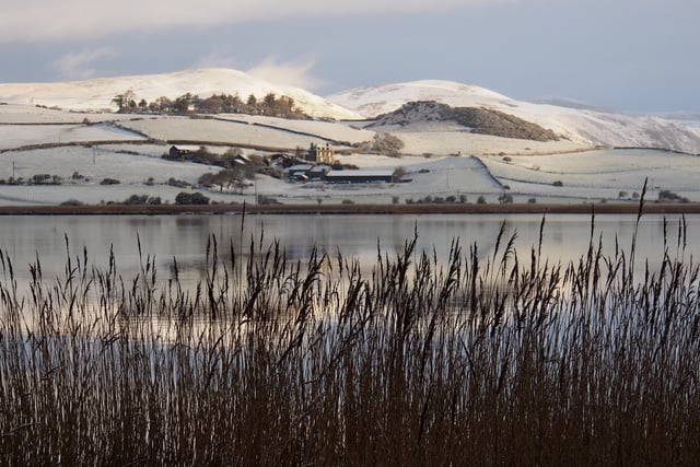 Schools closed as snow blankets Wales