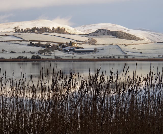 Schools closed as snow blankets Wales