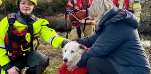 Mid Wales firefighters rescue Lizzie the Collie